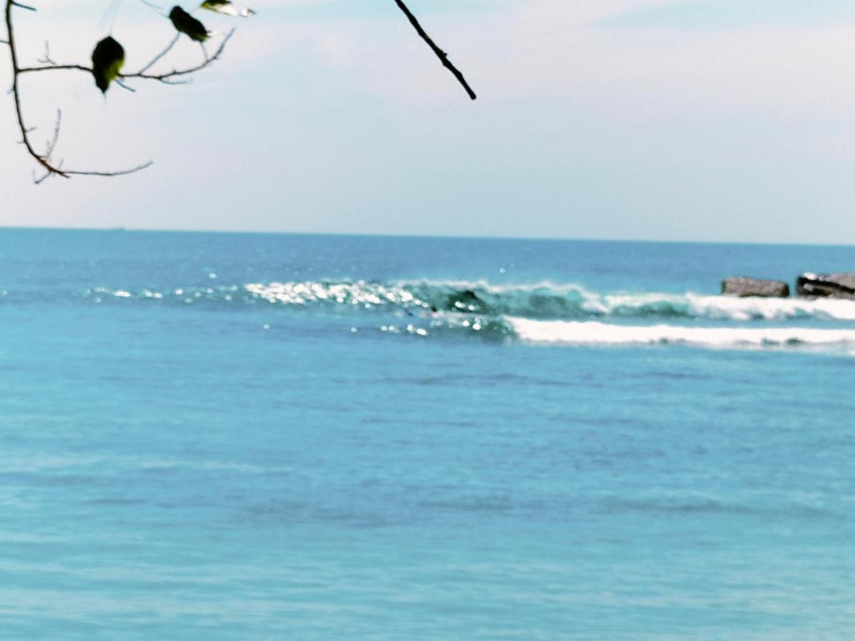 Secret Swell Hotel Tangalle Luaran gambar